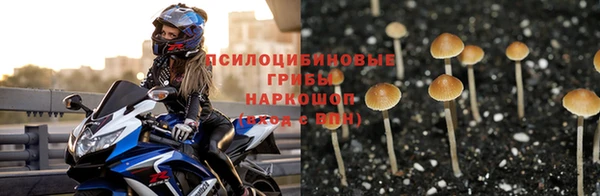 герыч Богородск